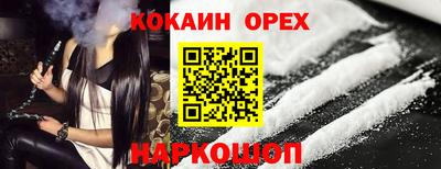 крисы Краснознаменск