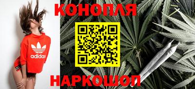 крисы Краснознаменск