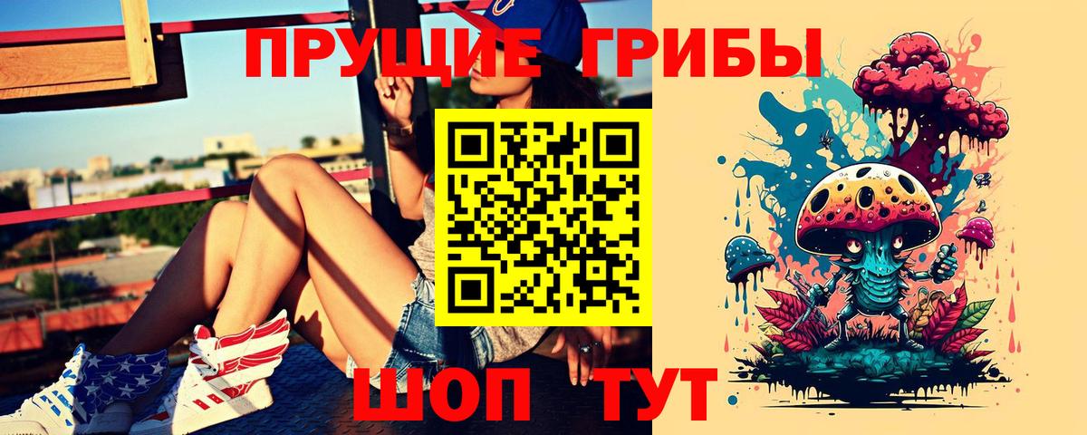Галлюциногенные грибы Psilocybine cubensis Знаменск