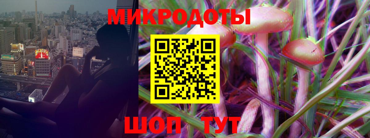 Псилоцибиновые грибы ЛСД  где продают   Вход с VPN  Знаменск  Псилоцибиновые грибы Psilocybe 